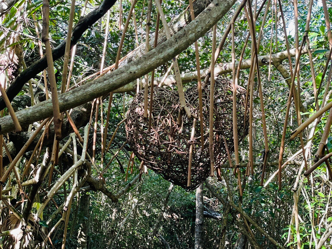 Laguna Kaan Luum-图伦必去景点