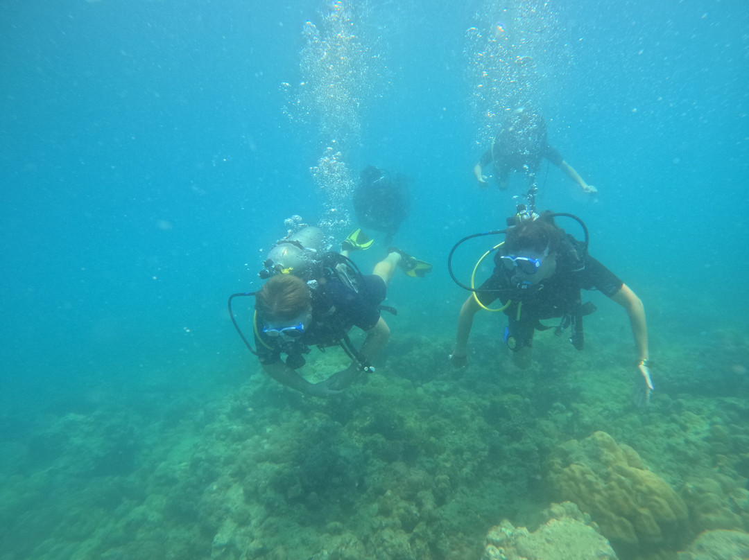 Frogman Adventures-Swaraj Dweep必去景点