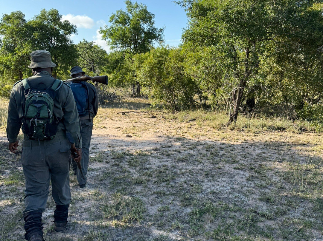 Napi Wilderness Trail-克鲁格国家公园必去景点