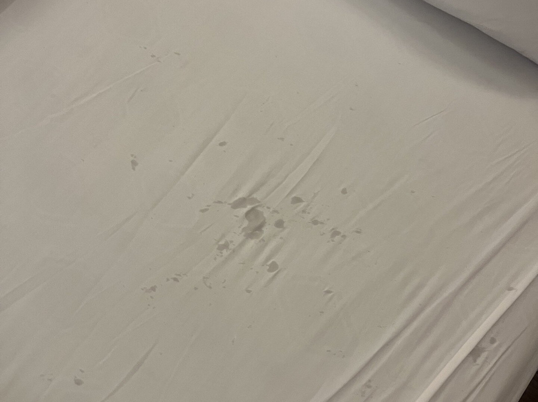 Weston Suites & Hotel主图