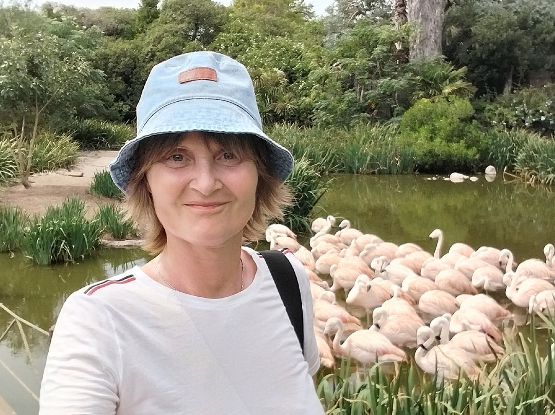 Mundo Marino-圣克莱门特雷图尤必去景点