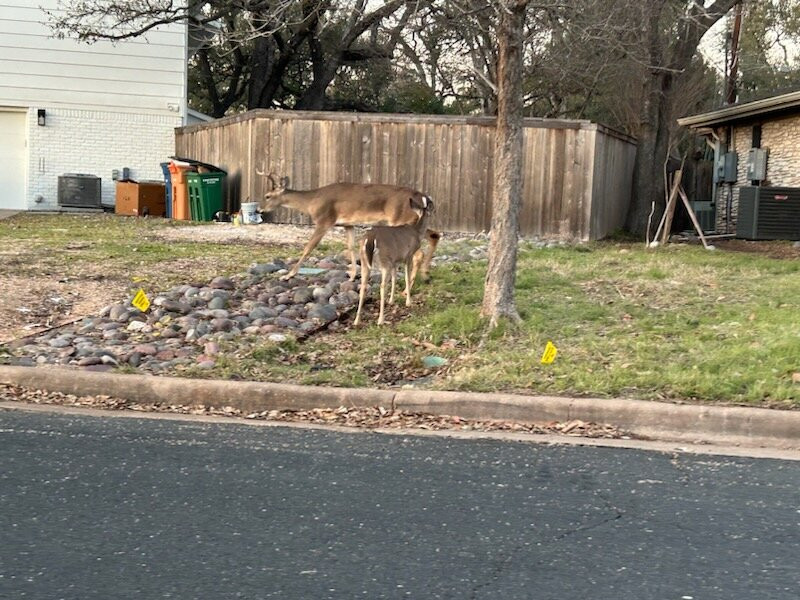 Hyatt Place Austin / Cedar Park主图