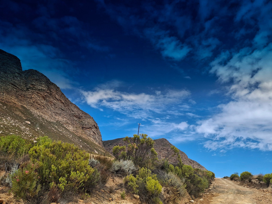 John's Tours-Prince Albert必去景点