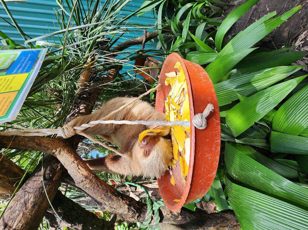 Refugio Animal De Costa Rica景点图片