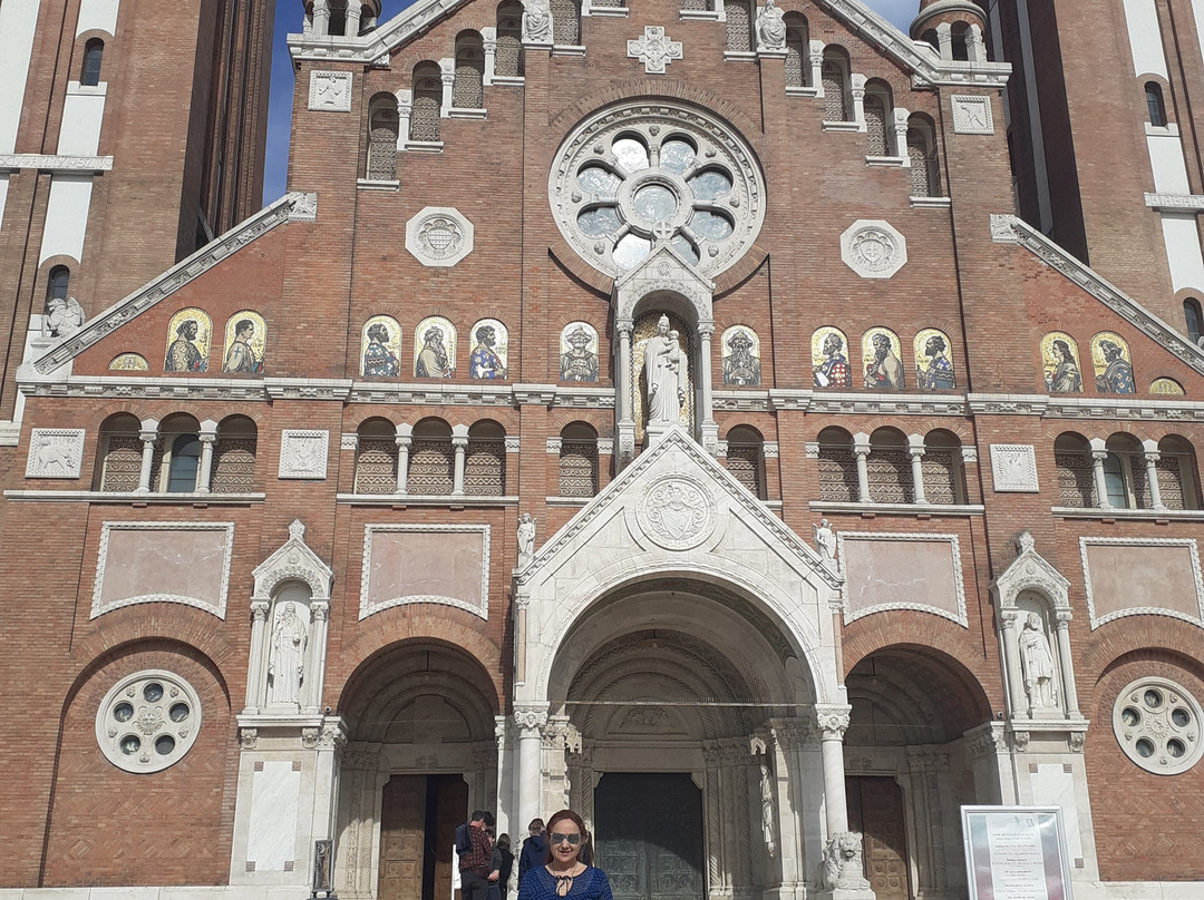 Votive Church景点图片