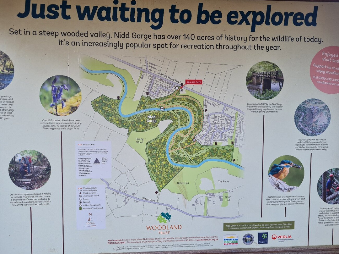 River Nidd Waterside Walk景点图片