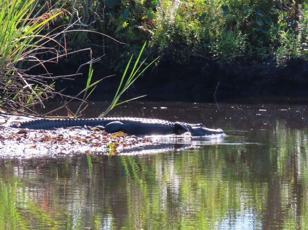 Kayak Eco Tours-阿卡迪亚必去景点
