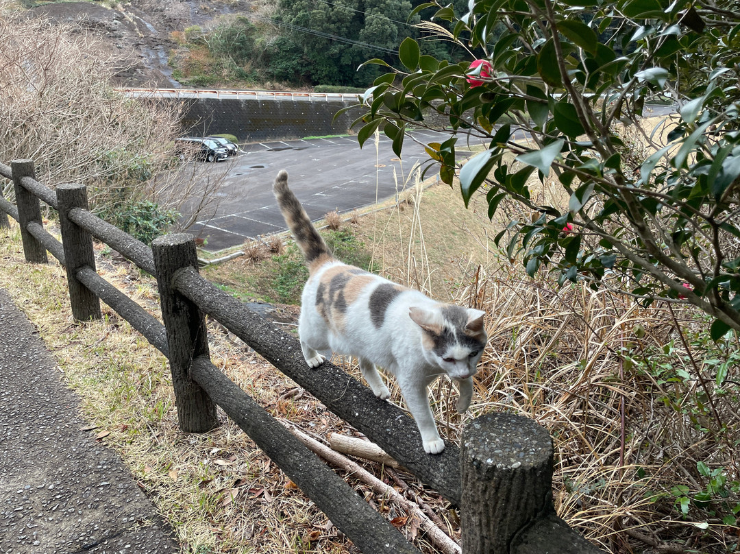 Hyugasaki Umagase-日向市必去景点