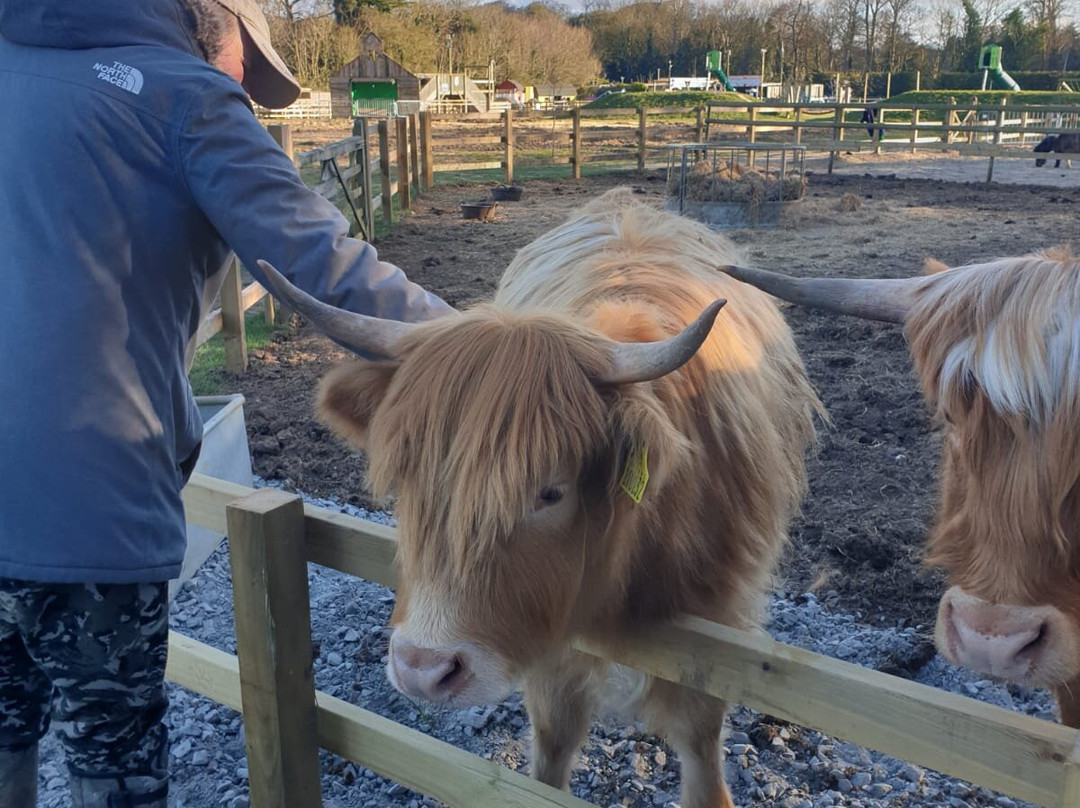 Quex Adventure Farm Park景点图片