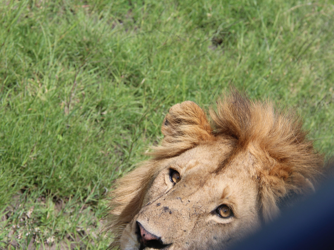 Objectif Tanzania-阿鲁沙必去景点