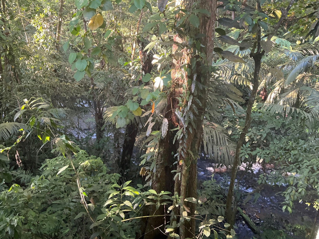 La Carolina Lodge主图