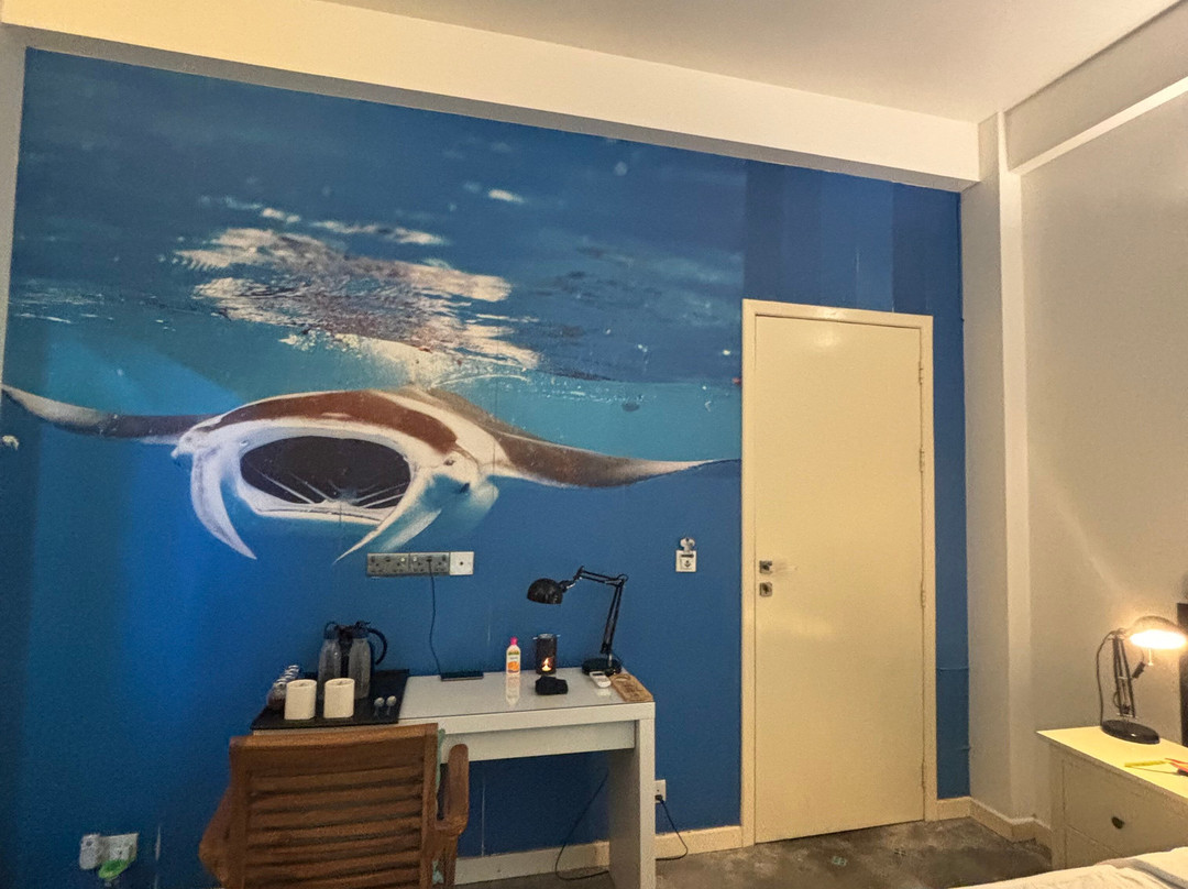 海滩潜水全包精品酒店主图