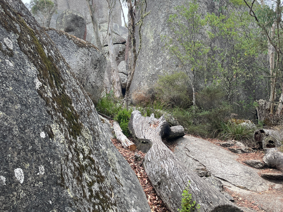 Castle Rock-Porongurup National Park必去景点