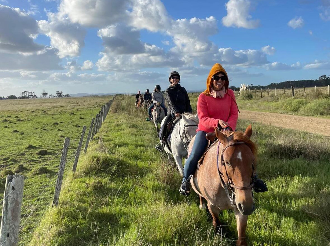 Eco Equus Cabalgatas-La Pedrera必去景点