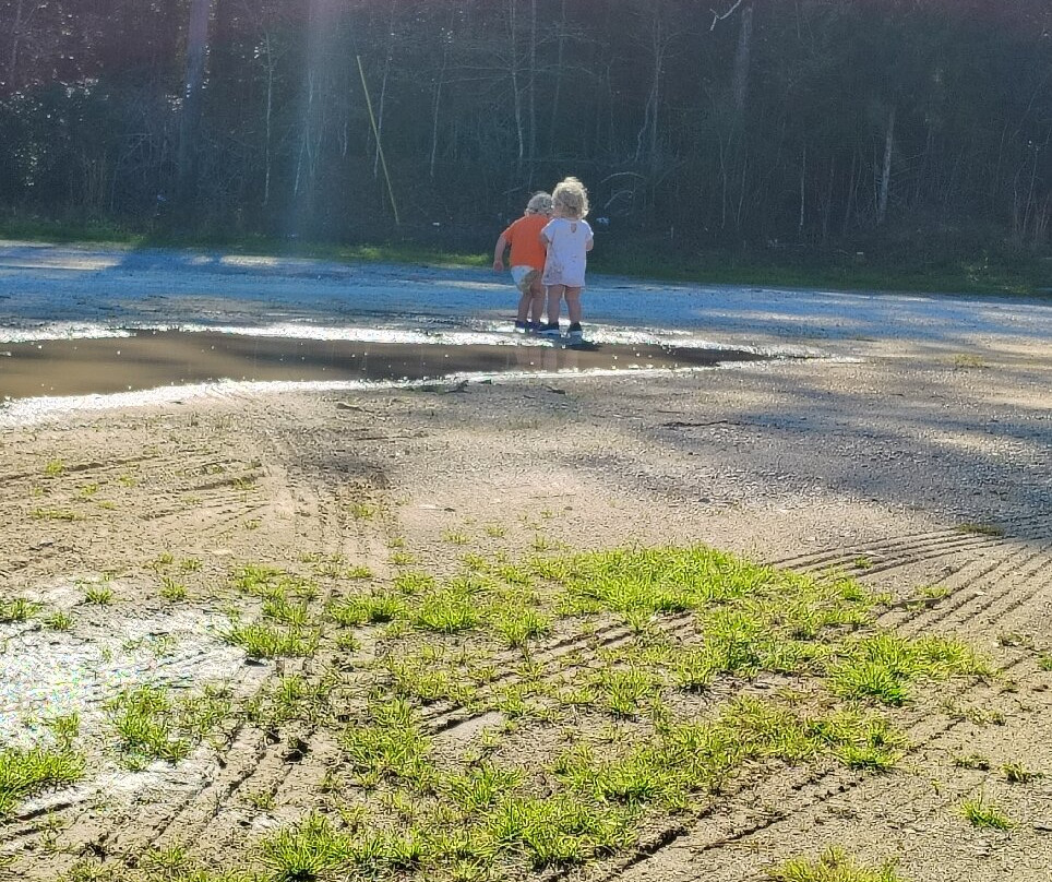 Super 8 by Wyndham Chipley主图