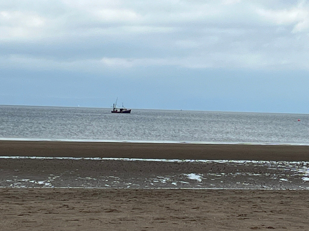Irvine Beach-Irvine必去景点