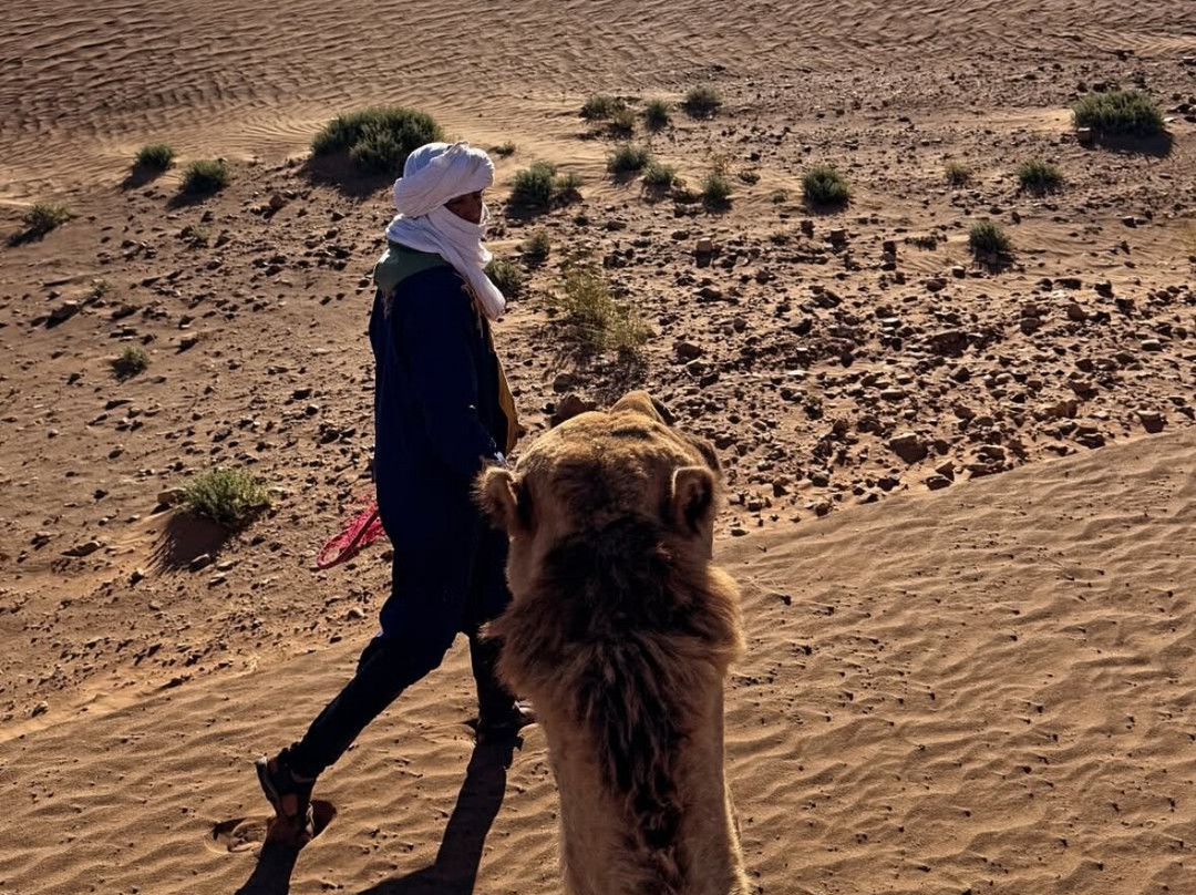 Experience Serenity Sahara-Tagounite必去景点