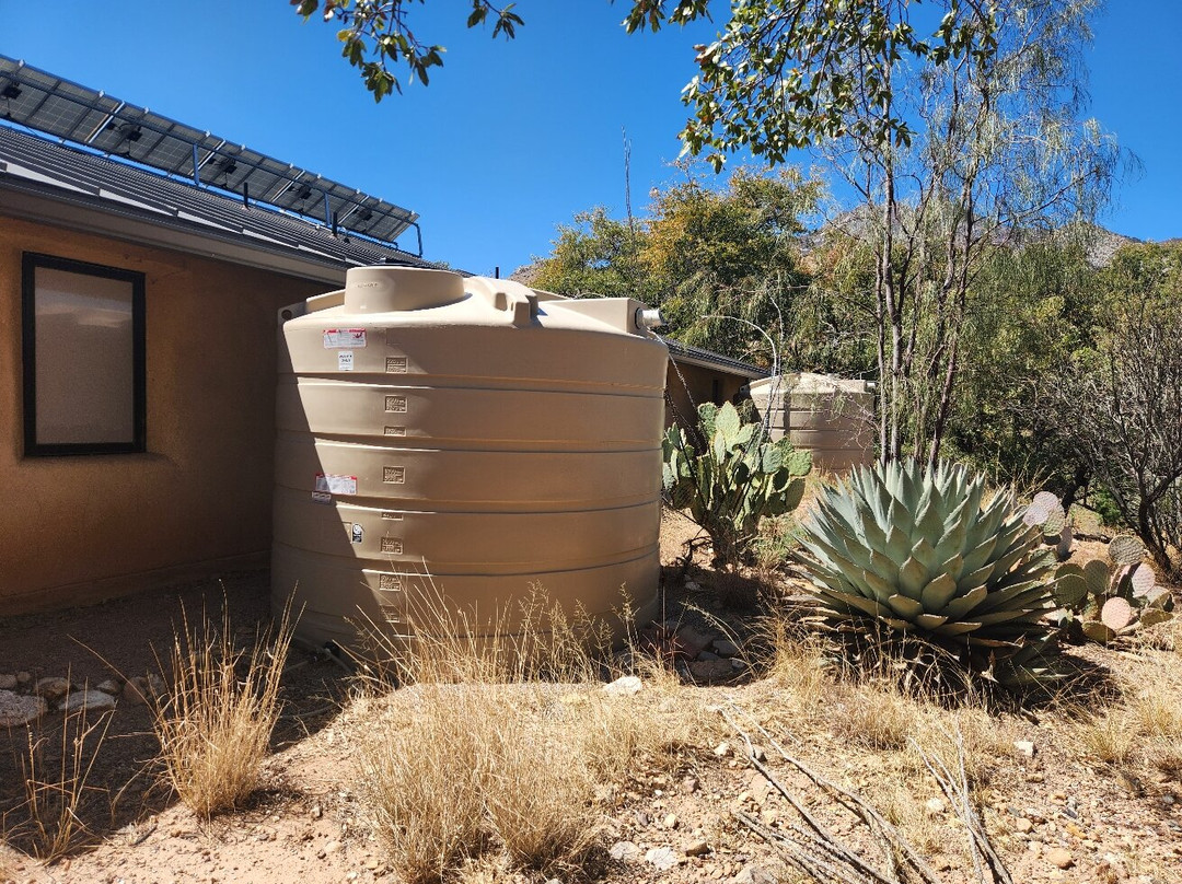 Ash Canyon Bird Sanctuary-Hereford必去景点
