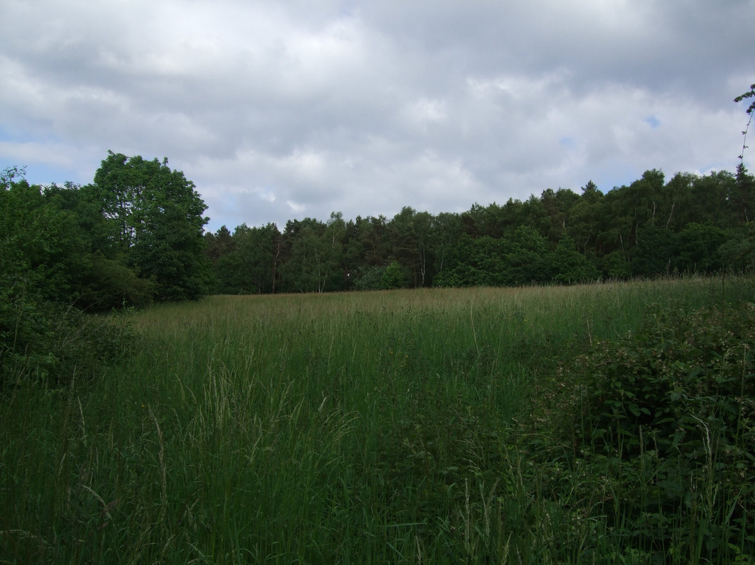 Stolberg酒店住宿-Romantik-Parkhotel am Hammerberg