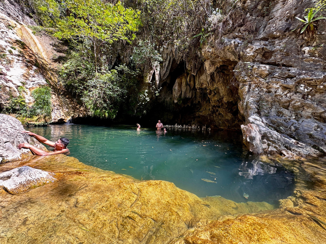Horseback Riding Tours-特立尼达必去景点