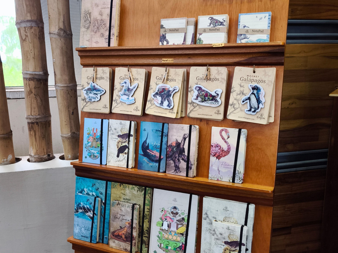 593 Origins - Baltra-Baltra必去景点