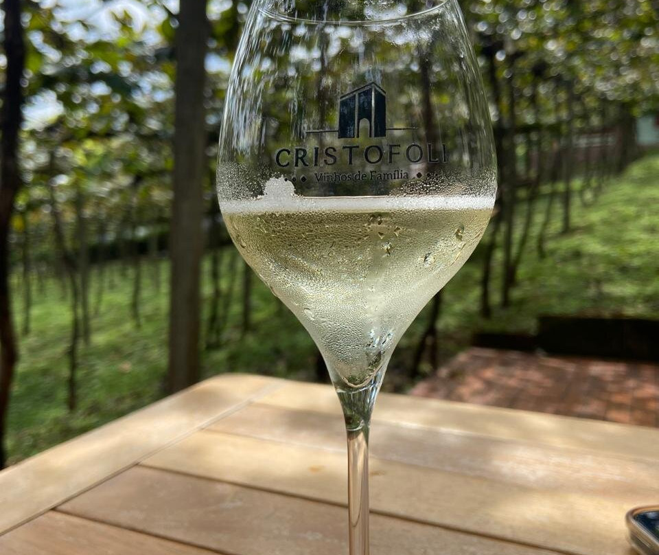 Torrontes Enoturismo景点图片