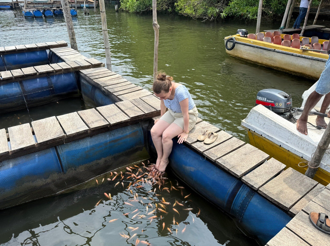 Sri Lanka Car Hire with Driver-卡图纳耶克必去景点