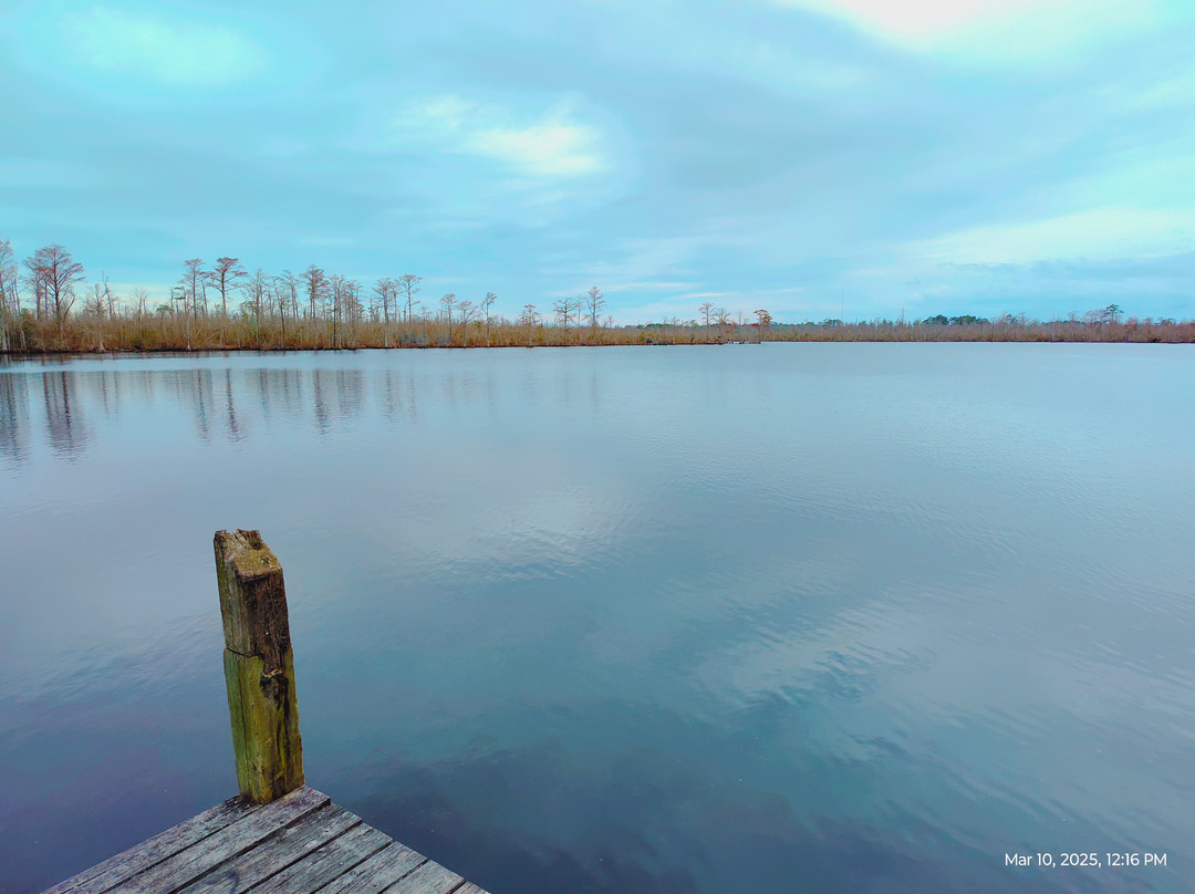 Tyrrell County Visitors Center-Columbia必去景点