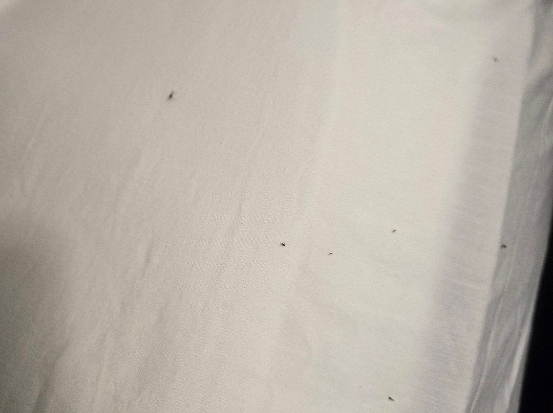 Village Inn Hotel & Event Center, Trademark Collection by Wyndham主图