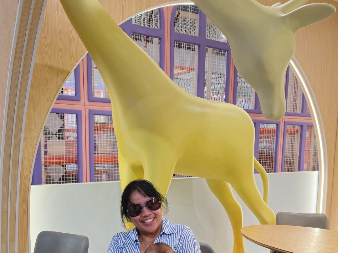 Bella's wonderland-绍斯波特必去景点