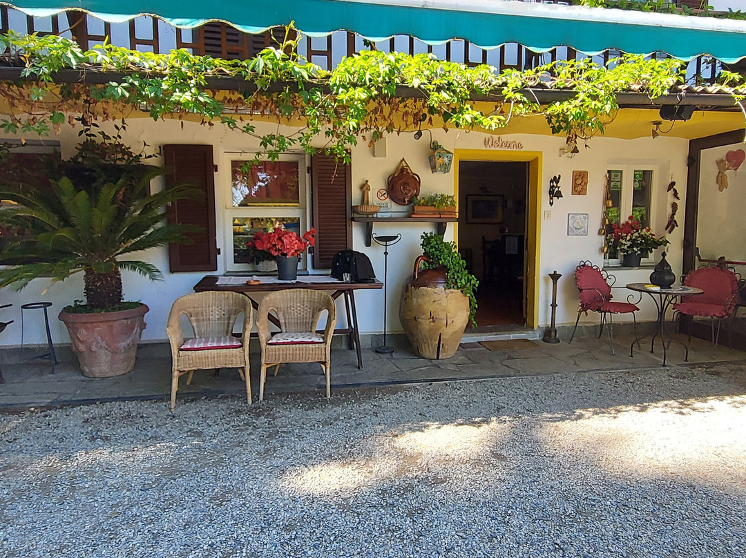 Agriturismo Le Camelie主图