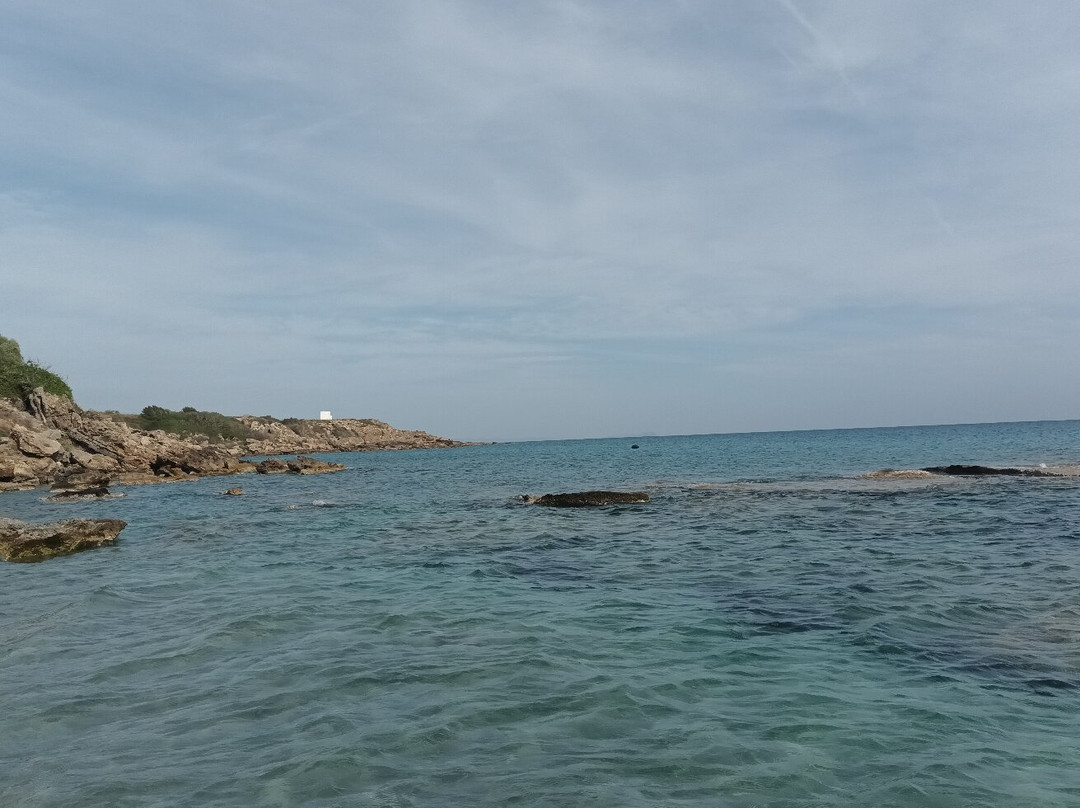 Frangokastello Beach景点图片