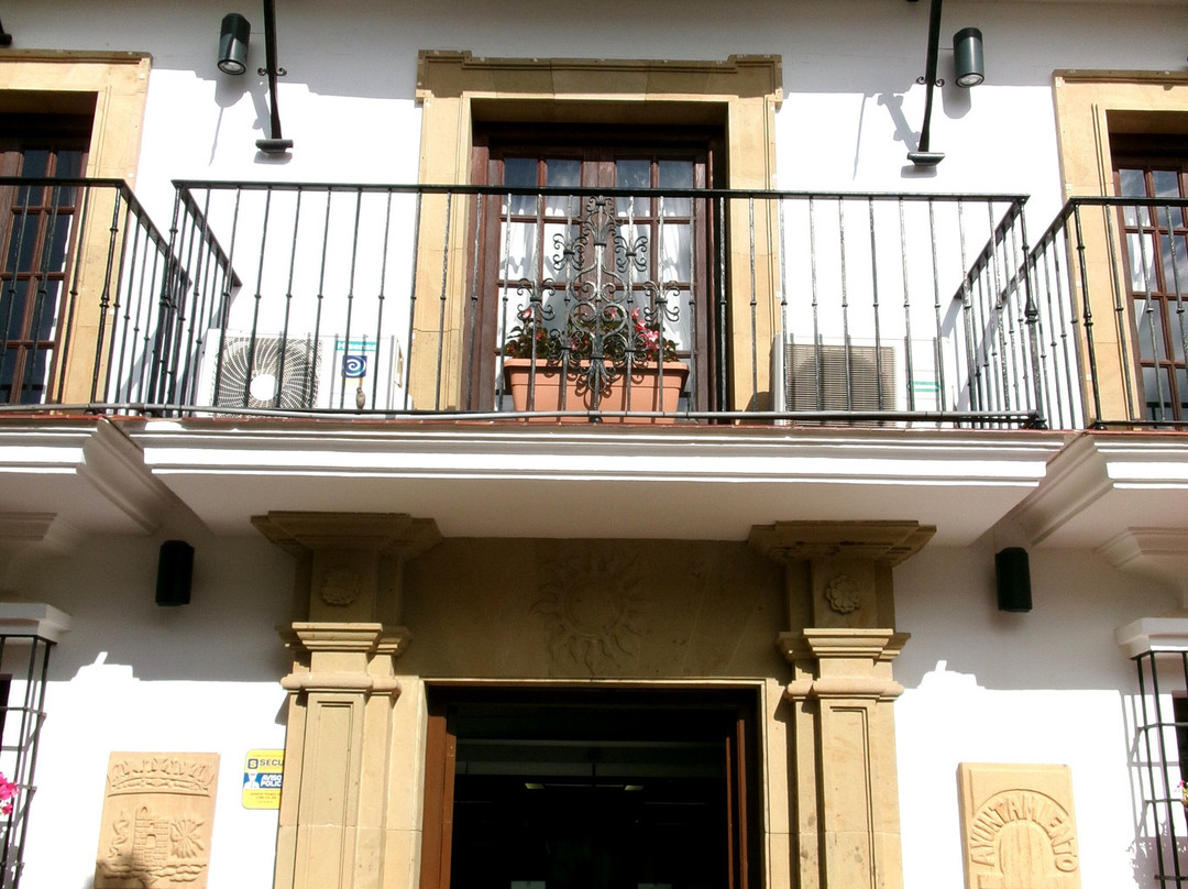 Ayuntamiento City Hall景点图片