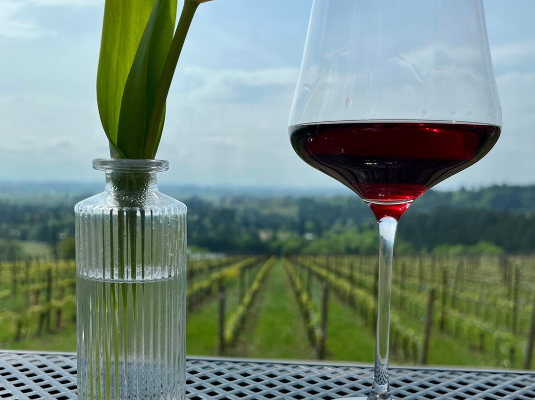 Furioso Vineyards-Dundee必去景点