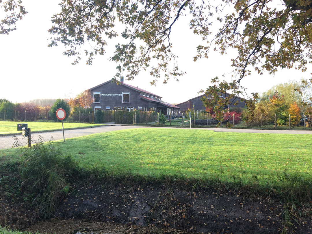 Boerderij Het Landsingerland景点图片