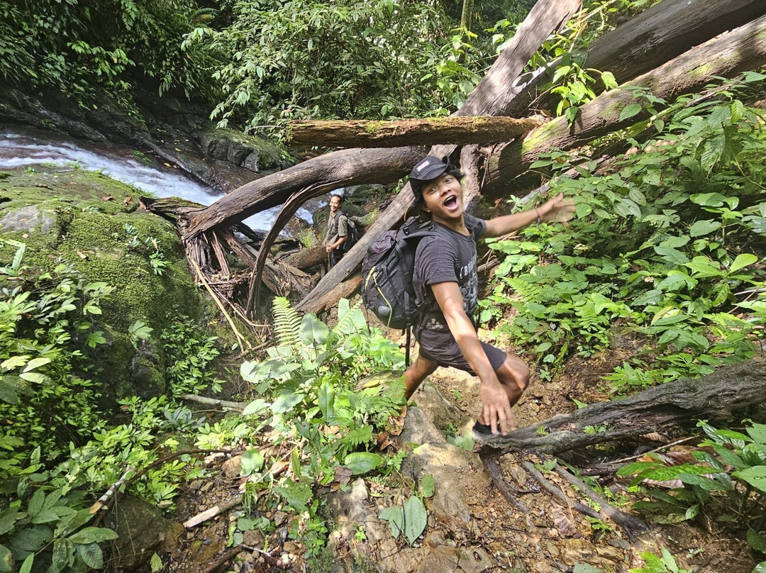 Bukit lawang orangutan trekking-武吉拉旺必去景点