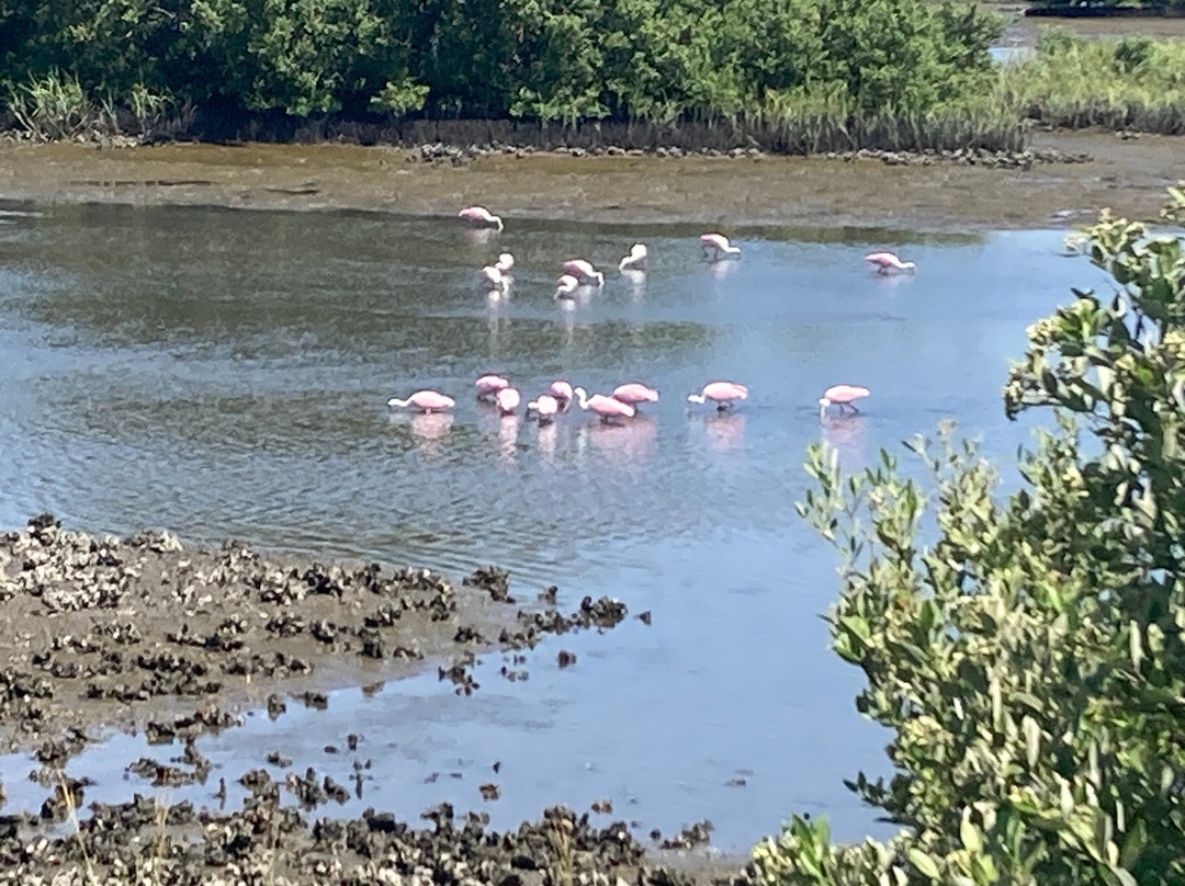 Go With Glo-克里斯特尔里弗必去景点
