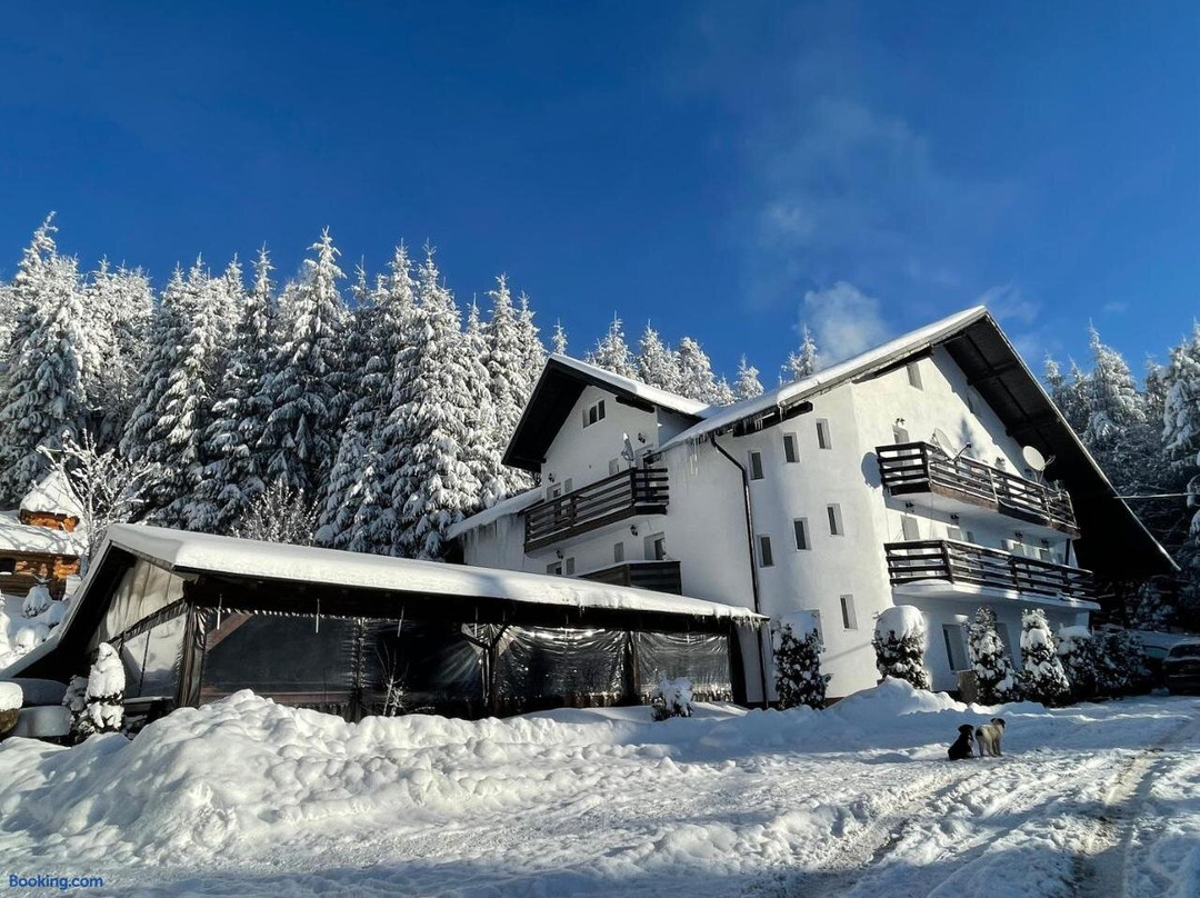 Valea Mare旅游攻略图片