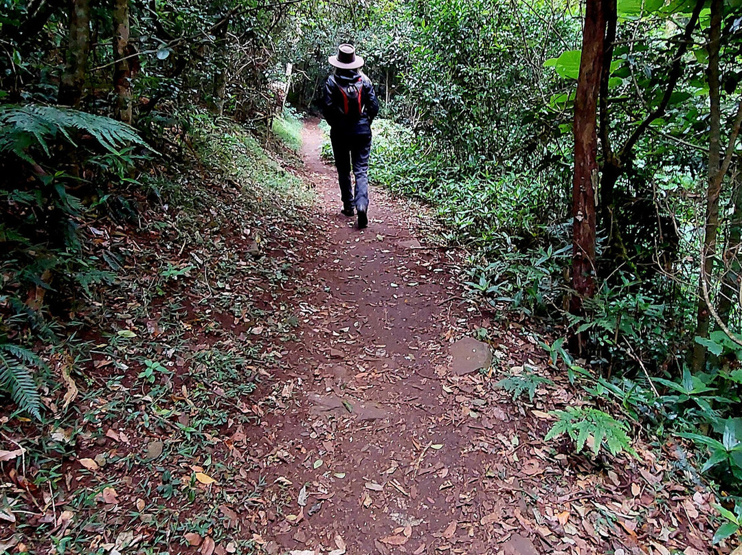 Bunya Mountains National Park-Bunya Mountains必去景点