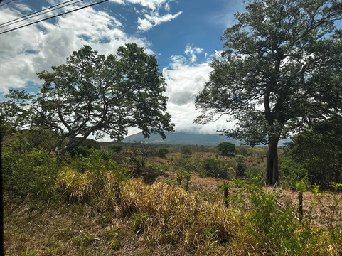 Eleven Tranfers and Tours-利比里亚必去景点