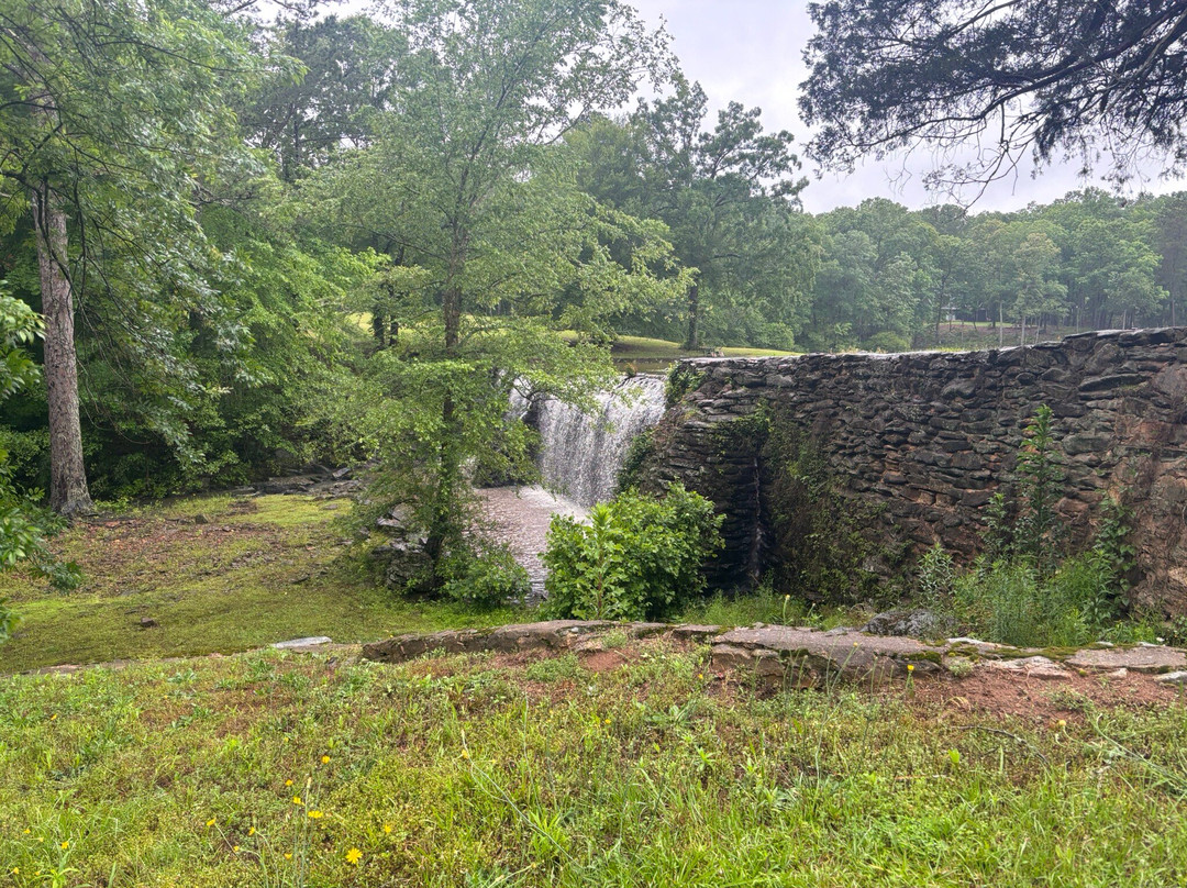 Georgia Tour Company-Senoia必去景点