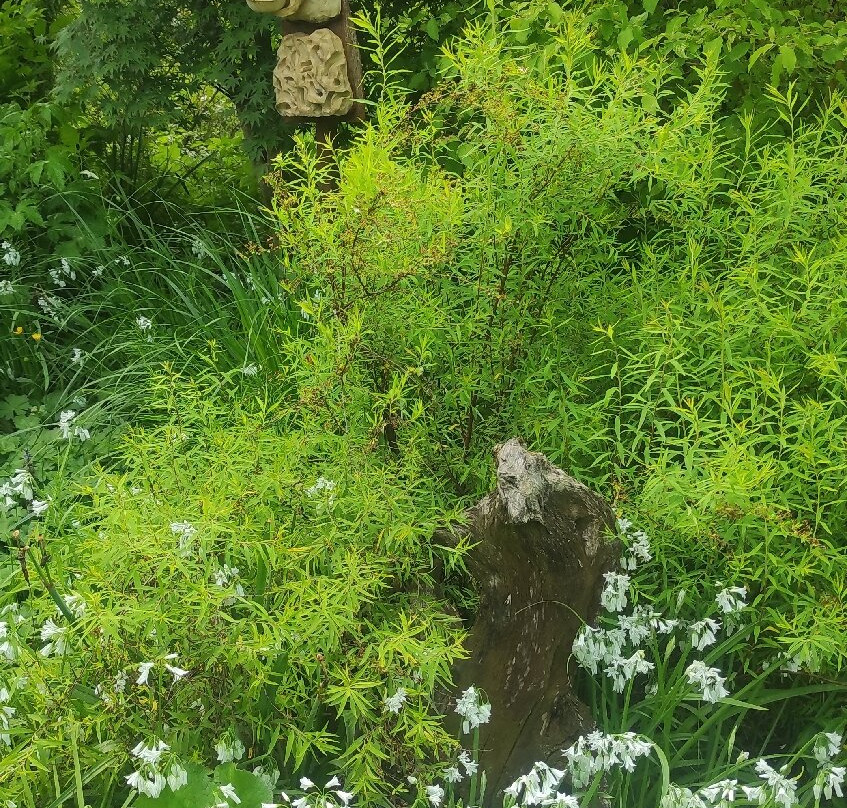 Jardins De La Rejonière-Ternand必去景点