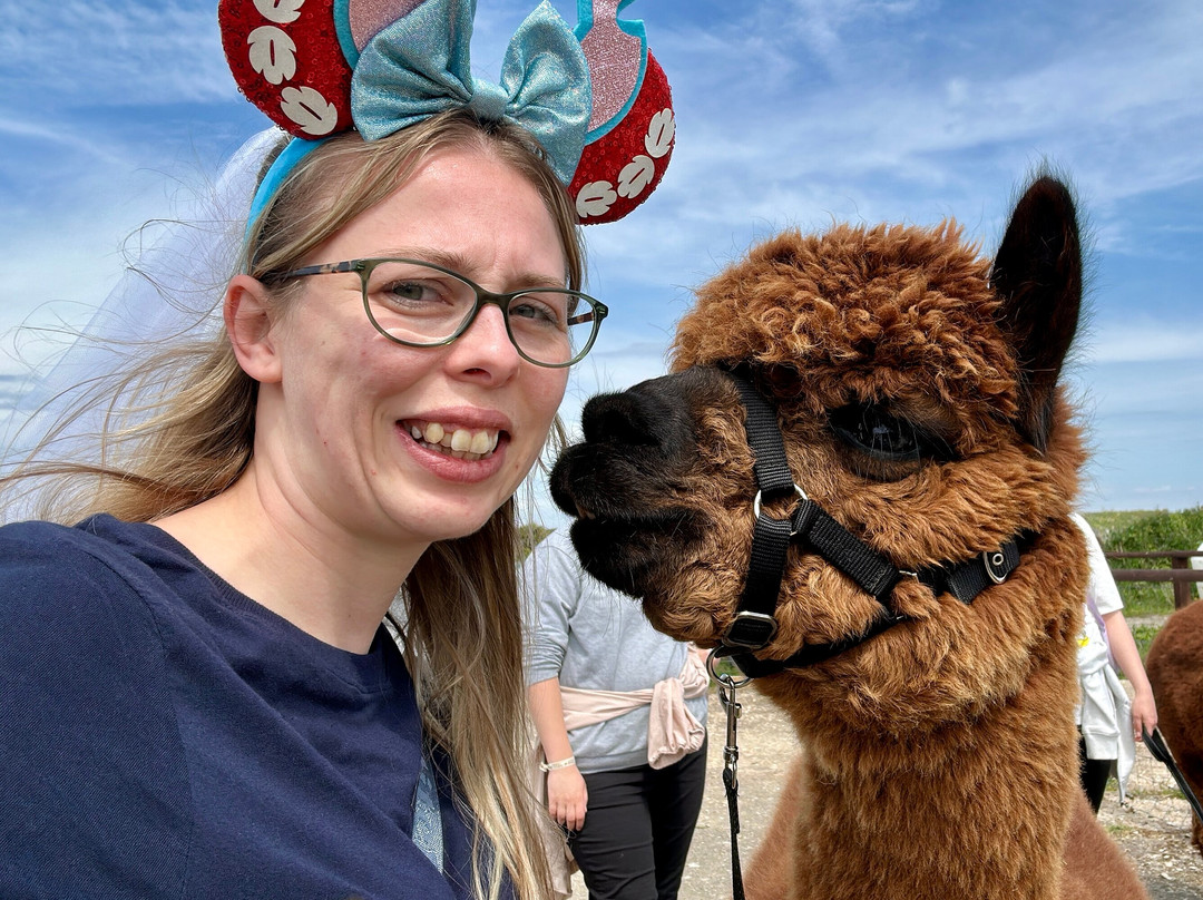 Portland Alpaca Trekking-Weston必去景点