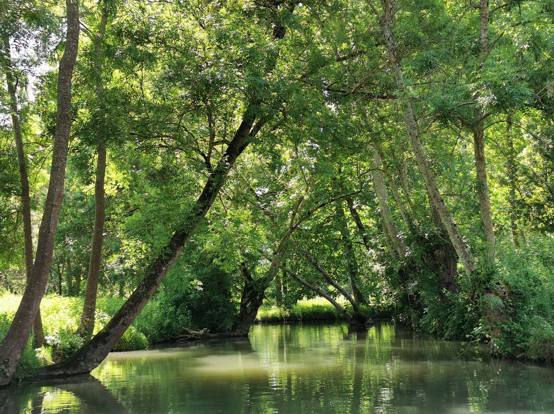 Embarcadère Prada-Coulon必去景点