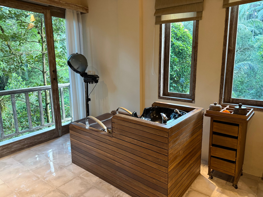 Serayu Spa at The Kayon Resort景点图片