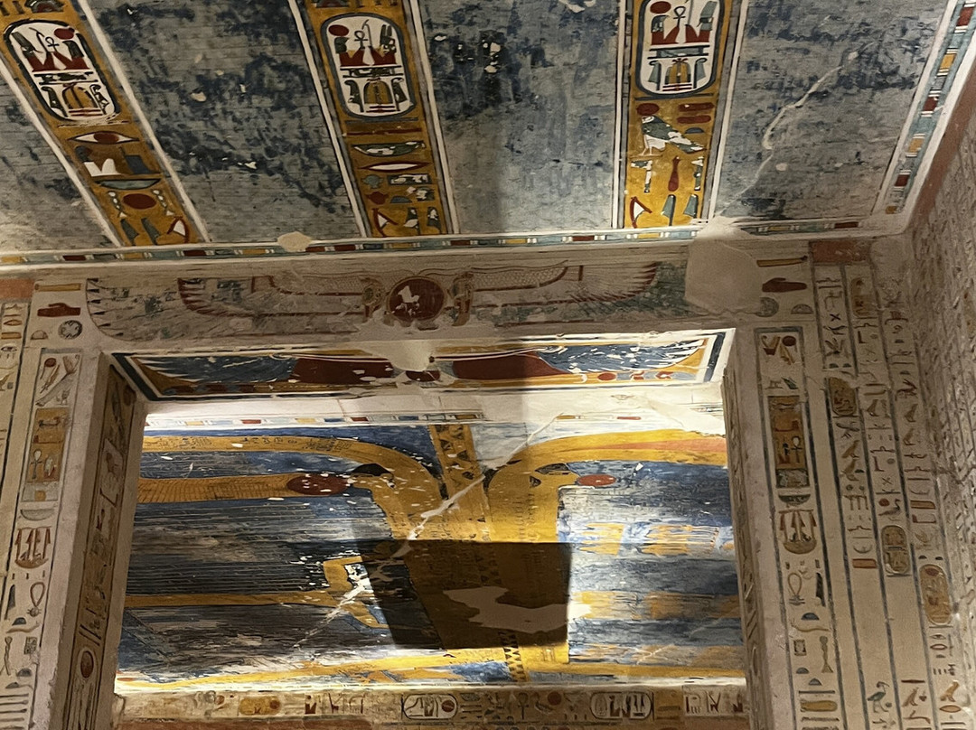 Blue Lotus-卢克索必去景点