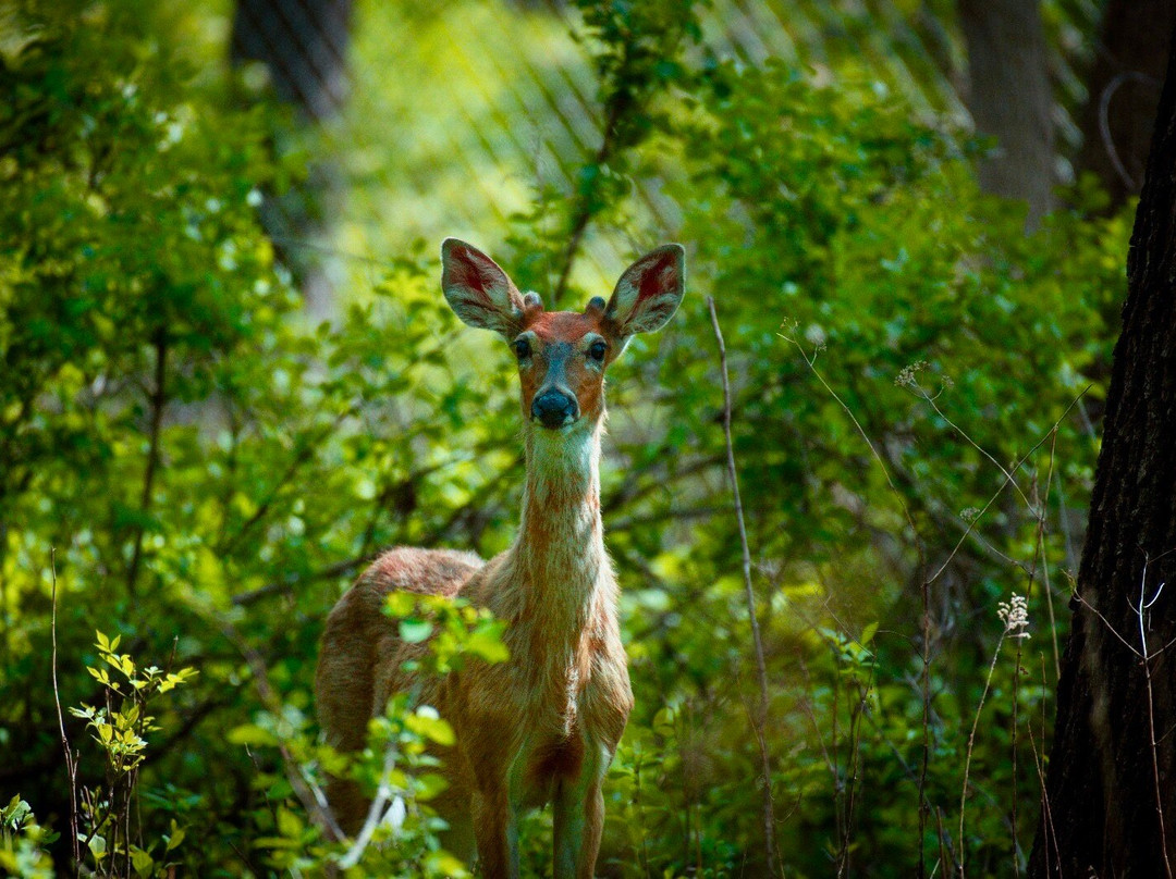 The Grove-格伦维尤必去景点