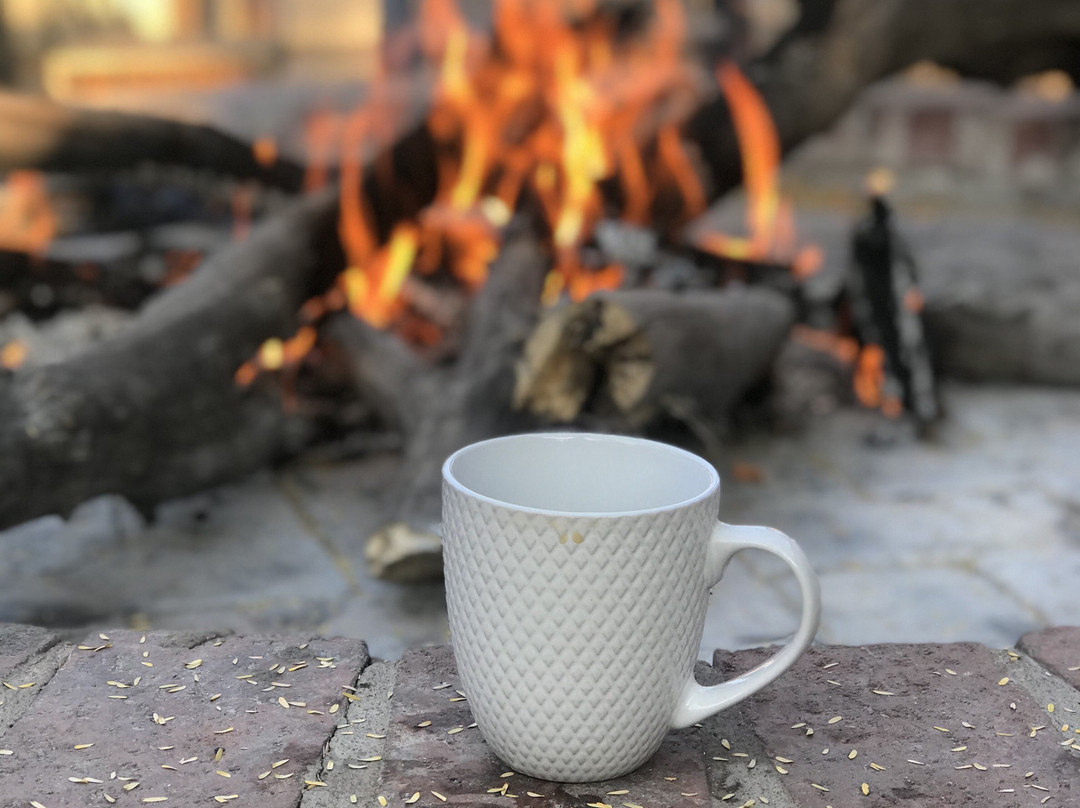 Marvel Africa Hunting Safaris-Lephalale必去景点