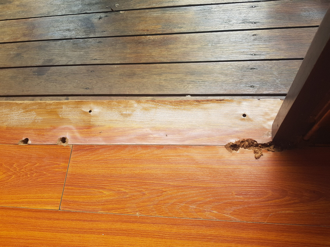 Bamboo Bungalow主图