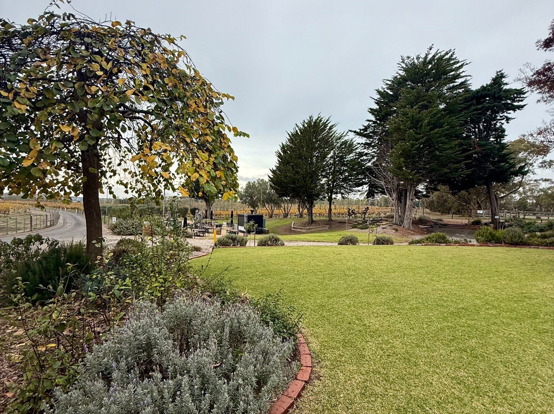 Scotchmans Hill Winery-Drysdale必去景点